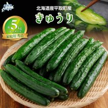【先行予約/8月以降発送】【家庭用】【北海道平取町産】秀品 キュウリ１箱Мサイズ５kg BRTO004