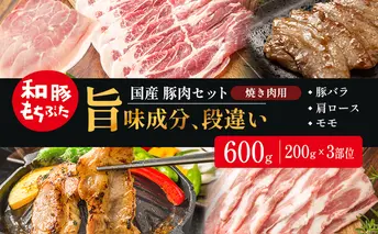 和豚もちぶた お試しセット 焼肉用 600g 200g×3部位 1～2人世帯向け 豚バラ 肩ロース モモ
