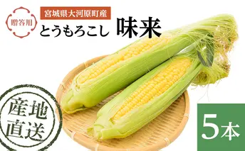 とうもろこし 味来 贈答用 5本 トウモロコシ 宮城県産 甘い 夏 朝採れ 産地直送 宮城県 大河原町