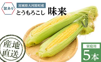 とうもろこし 味来 家庭用 5本 訳アリ トウモロコシ 宮城県産 甘い 夏 朝採れ 訳あり 産地直送 宮城県 大河原町