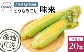 とうもろこし 味来 家庭用 20本 訳アリ トウモロコシ 宮城県産 甘い 夏 朝採れ 訳あり 産地直送 宮城県 大河原町