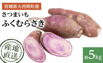 さつまいも 約5kg ふくむらさき サツマイモ 宮城県産 甘い 秋 冬 スイーツ いも 産地直送 宮城県 大河原町