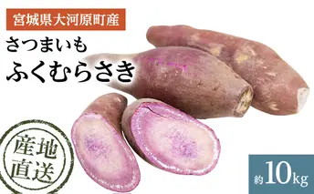 さつまいも 約10kg ふくむらさき サツマイモ 宮城県産 甘い 秋 冬 スイーツ いも 産地直送 宮城県 大河原町