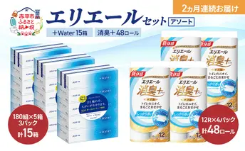 【定期便 2ヵ月連続お届け】エリエール セット ＋Water 15箱 消臭＋ 48ロール〈アソート〉トイレットペーパー ティッシュ トイレ ボックスティッシュ まとめ買い ペーパー  紙 防災 常備品 備蓄品 消耗品 備蓄 日用品