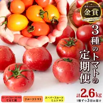 【 3回定期便 】 厳選 フルーツトマト 3品種セット（ 毎月1種ずつお届け ） てるて姫 ミニトマト 2026年収穫分 先行予約 フルーツトマト ブランドトマト 野菜 [BC091sa]
