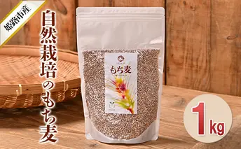 自然栽培のもち麦（ダイシモチ）1kg お米 