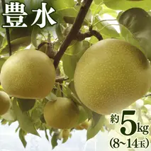 豊水 約 5kg （8～14玉） 2026年産 先行予約 梨 果物 フルーツ なし ナシ 豊水梨 くだもの デザート 茨城 [BQ020sa]