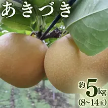 あきづき 約 5kg （8～14玉） 2026年産 先行予約 梨 果物 フルーツ なし ナシ あきずき あきづき梨 くだもの デザート 茨城 [BQ022sa]