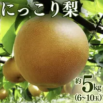 にっこり梨 約 5kg （6～10玉） 2026年産 先行予約 梨 果物 フルーツ なし ナシ にっこり くだもの デザート 茨城 [BQ023sa]