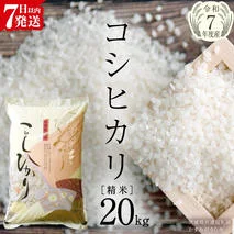 ＼ 最短7営業日以内に発送 ／【令和7年産】コシヒカリ 精米20kg（5kg×4袋）（茨城県共通返礼品 かすみがうら市） スピード発送 早い 米 ごはん もっちり 甘い コメ お米 白米 銘柄米 [EX026sa]