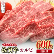 佐賀牛 カルビ 焼肉用 600g【A4～A5ランク】【希少 国産和牛 牛肉 肉 牛 焼肉】(H085206)