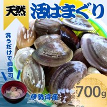 天然 はまぐり 700g | 活はまぐり 天然はまぐり 蛤 ハマグリ 伊勢湾 天然 活 冷蔵 魚介 魚貝 海鮮 貝 出汁 だし 味噌汁 酒蒸し グラタン お祝い ひなまつり 節句 おせち 贅沢 人気 おすすめ 愛知県 美浜町 ※北海道・沖縄・離島への配送不可
