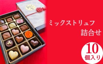 トリュフ 詰合せ 10個　～響～ | 手作り チョコレート トリュフ 詰め合わせ ショコラ チョコ プレゼント バレンタイン ホワイトデー デザート スイーツ ギフト 贈り物 贈答 お祝い 記念日 Chocolate あじさい 愛知県 美浜町※2026年1月中旬～3月中旬頃に順次発送予定