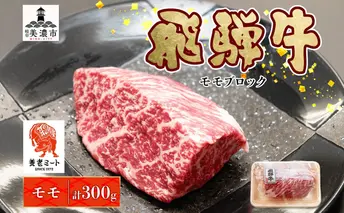 飛騨牛 モモブロック 300g×1P　計300g モモ肉 もも肉 ブロック ブロック肉 ももブロック 肉 牛肉 牛 ビーフ 和牛 和牛ステーキ 国産 国産肉 日本産 ローストビーフ ステーキ 冷凍保存 ご当地 お取り寄せグルメ 送料無料 岐阜県美濃市