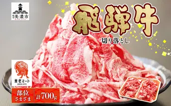 飛騨牛 切り落とし 350g×2P 国産 国産牛 牛肉 肉 牛 日本産 和牛 BBQ 焼き肉 赤身 小分け 便利 冷凍保存 一人暮らし 牛丼 肉じゃが 煮物 焼く 簡単調理 薄切り 飛騨牛切り落とし カレー ビーフシチュー 贈答品 お取り寄せ 送料無料 岐阜県 美濃市