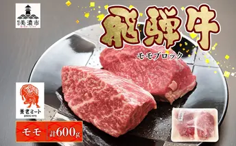 飛騨牛 モモブロック 300g×2P モモ肉 もも肉 ブロック ブロック肉 ももブロック 肉 牛肉 牛 ビーフ 和牛 和牛ステーキ 国産 国産肉 日本産 ローストビーフ ステーキ 冷凍保存 ご当地 お取り寄せグルメ 送料無料 岐阜県美濃市