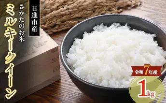 令和7年度産 ミルキークイーン さかたのお米 日進市産 1kg お米 白米 ライス 精米 ご飯 おにぎり お弁当 和食 もっちり 粘り 強い 甘み 旨み