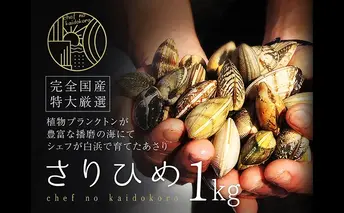 【さりひめ】姫路産養殖活あさり 1kg | 魚介 魚介類 貝類 海鮮  食べごたえ 味噌汁 酒蒸し パスタ 焼き牡蠣 海の幸