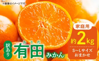 DZ6100_01_【2026年1月発送】ご家庭用 有田みかん 和歌山 S～Lサイズ 大きさお任せ 約2kg