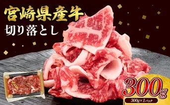 宮崎県産 黒牛 切り落とし 300g 1パック 赤身 牛肉 切り落とし 肉 お肉 牛 国産牛 小分け 真空パック コスパ 冷凍 贈答 ギフト 人気 国産 えびの市 送料無料