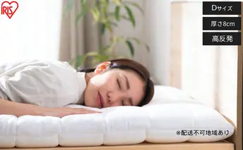 エアリー敷き布団プラスD ASFP80-D ホワイト 敷布団 アイリスオーヤマ ダブル 敷き布団 洗える 丸洗い 速乾 硬め 高反発 体圧分散 抗菌 防臭 通気性 湿気対策 リバーシブル 夏 冬 オールシーズン 収納 コンパクト 来客用 ベッド エアリー Airy