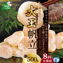 【毎月8ヶ月定期便】北海道 野付産 冷凍ホタテ 貝柱 大玉（Sサイズ）ホタテ500ｇ（ほたて ホタテ 帆立 ふるさと納税 お届け）