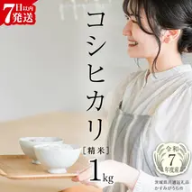 【 令和7年産 】 コシヒカリ 精米 1kg (茨城県共通返礼品 かすみがうら市) スピード発送 早い 新米 米 ごはん もっちり 甘い コメ お米 白米 銘柄米 5000 [EX029sa]