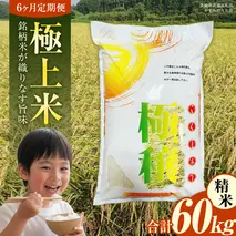 【 令和7年 】 【 6ヶ月 定期便 】 極上ふるさと米 精米 10kg × 6回 ( 合計 60kg ) (茨城県共通返礼品 かすみがうら市) スピード 最短 7日 すぐ届く すぐ発送 スピード発送 早い 新米 米 ごはん もっちり 甘い コメ お米 白米 コシヒカリ こしひかり あきたこまち にじのきらめき ミルキークイーン オールインワン米 [EX036sa]