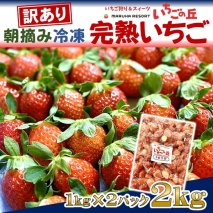 まるは食堂 マルハリゾート いちごの丘 『訳あり』完熟 冷凍いちご 2kg 1kg×2袋 ｜ 訳あり いちご イチゴ 冷凍 2kg 国産 完熟 スムージー ジャム ヨーグルト シャーベット デザート アイス おやつ 果物 フルーツ 愛知県 美浜町 ※北海道・沖縄・離島への配送不可
