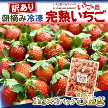 まるは食堂 マルハリゾート いちごの丘 『訳あり』完熟 冷凍いちご 3kg 1kg×3袋 ｜ 訳あり いちご イチゴ 冷凍 3kg 国産 完熟 スムージー ジャム ヨーグルト シャーベット デザート アイス おやつ 果物 フルーツ 愛知県 美浜町 ※北海道・沖縄・離島への配送不可