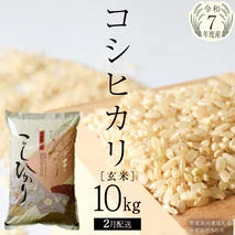 ＼ 2月出荷 ／【令和7年産】コシヒカリ 玄米10kg（10kg×1袋）（茨城県共通返礼品 かすみがうら市産）米 ごはん もっちり 甘い コメ お米 銘柄米[EX012sa-02]