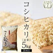 ＼ 2月出荷 ／【令和7年産】コシヒカリ 玄米5kg（5kg×1袋）（茨城県共通返礼品 かすみがうら市産）米 ごはん もっちり 甘い コメ お米 銘柄米[EX011sa-02]