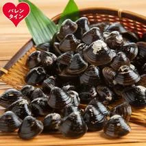 21-74 【バレンタインデー】冷凍砂出ししじみドーンと2.5kgセット