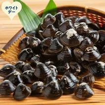 21-77 【ホワイトデー】冷凍砂出ししじみドーンと2.5kgセット