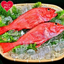 22-147 【バレンタインデー】キンキ(600g前後2尾)