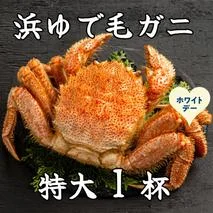 26-54 【ホワイトデー】流氷明け浜ゆで毛ガニ　特大1杯