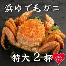 52-19 【バレンタインデー】流氷明け浜ゆで毛ガニ　特大2杯