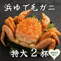 52-20 【ホワイトデー】流氷明け浜ゆで毛ガニ　特大2杯