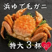 78-21 【バレンタインデー】流氷明け浜ゆで毛ガニ　特大3杯