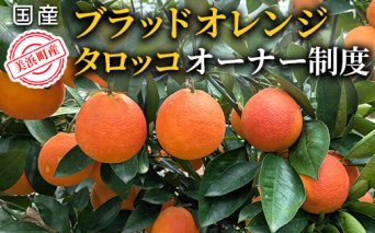 美浜町産ブラッドオレンジタロッコ　オーナー制度