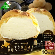 【12か月定期便】BETSUKAI濃厚シューアイス10個セット　【NSM120001】