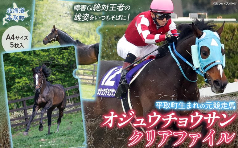 オジュウチョウサン】クリアファイル（写真）5枚入り BRTV019