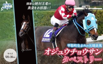 【オジュウチョウサン】タペストリー BRTV016