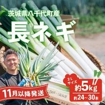 【先行受付 2026年11月以降発送開始】長ネギ 約5kg 2L 約24本～30本 茨城県産 八千代町産 野菜 農家直送 化成肥料不使用 有機肥料100% ねぎ 長ねぎ ネギ 旨味 認定農業者 8500円 [DJ002ya]