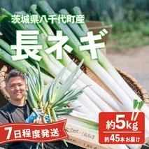 長ネギ 約5kg 約45本 茨城県産 八千代町産 野菜 農家直送 化成肥料不使用 有機肥料100% ねぎ 長ねぎ ネギ 旨味 認定農業者 9000円 [DJ003ya]