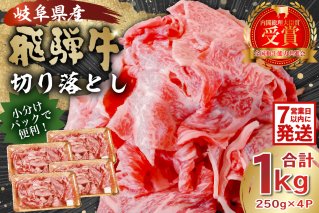 飛騨牛切り落とし1kg(250g×4)牛肉 カレー シチュー 牛丼 肉じゃが 牛しぐれ煮 炒め物 食品 肉 国産 和牛 ブランド牛 ブランド 小分け パック セット 国産牛 お肉 ロース もも 赤身 バラ ミックス 料理 岐阜県 [0016-019-1w]