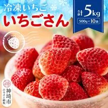 冷凍いちご(いちごさん)5kg(500g×10)[佐賀県 いちごさん 冷凍いちご 新鮮 果実 加工 甘さ 香り デザート スムージー ソース](H116233)