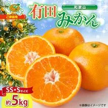 N_[2026年先行予約][ニッポン限定]ご家庭用 和歌山 有田みかん 約5kg (SS、Sサイズ)[湯浅町]