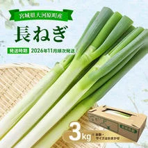 （28）農家直送千葉県産ミネラル豊富な長ネギ20㎏おまけ付き 長ネギ 約5kg 約45本 茨城県産 八千代町産 野菜 農家直送 化成肥料不