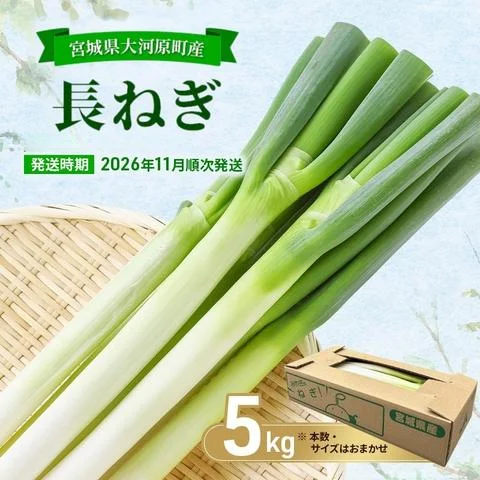 長ねぎ 約5kg 新鮮 野菜 ねぎ 葱 野菜 やさい 新鮮 鍋 薬味 焼きネギ